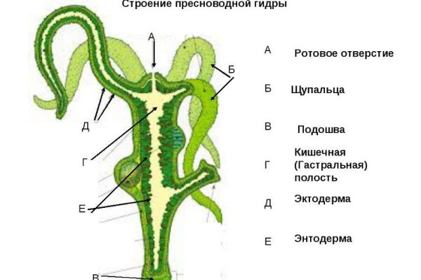 Блэк спрут тг