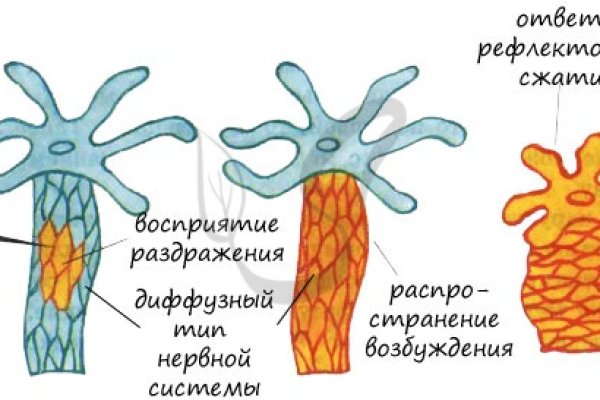 Блэк спрут официальный сайт bs2web top